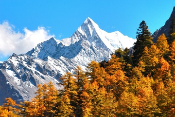  The Autumn at Yading Nature Reserve in Daocheng County ,China