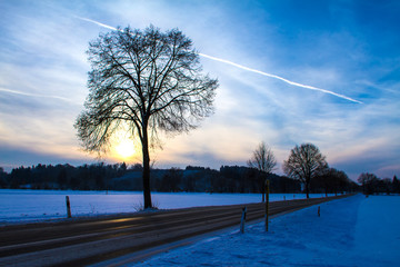 Snowy field