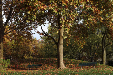Parc Georges Brassens en automne