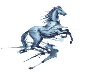 Wet watercolor rearing up horse with ink blots and stains on white. Hand drawing illustration of beautiful black stallion in motion. © larisa_zorina