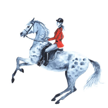 Watercolor rider and dapple grey horse on white. Horseman girl on rearing up stallion. England equestrian sport. Hand drawing illustration.