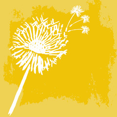 Obraz premium Watercolor graphic dandelion. Vector