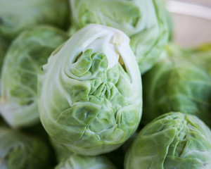 Fototapeta premium Close-up shot of fresh California Brussels Sprouts.