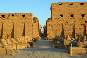 egypt statues of sphinx in karnak temple