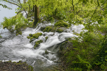 Plitvice Lakes National Park. Rapids on the river