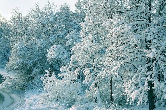 wallpaper winter scenes