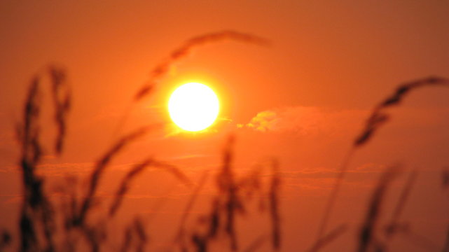 Fototapeta Zachód słońca