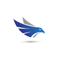 Blue Hawk Logo