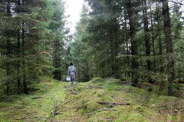 Obraz premium a girl in autumn forest