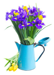 spring tulips and irises