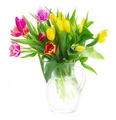 spring tulips and irises