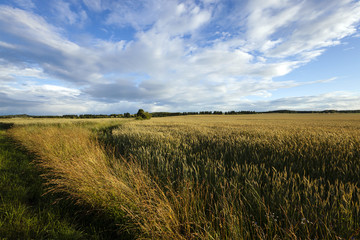 border agricultural fields  