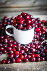 Cranberries on a mug on rustic wooden background