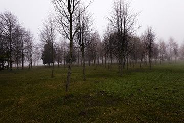 Autumn park . morning