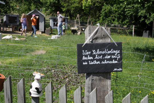 Wer Schmetterlinge lachen h&ouml;rt