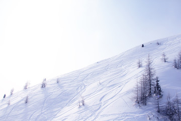 Slope with ski traces - 94809701