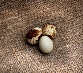 quail eggs on an isolated background