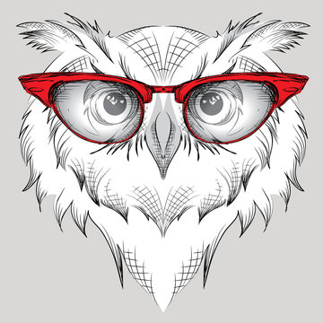 Image Portrait owl in the glasses.  / african / indian / totem / tattoo design. Use for print, posters, t-shirts. Hand draw vector illustration