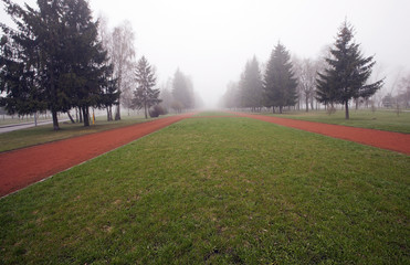 Park in autumn  