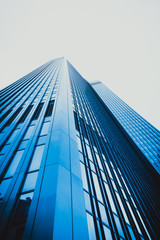 office buildings. Modern glass silhouettes on modern building