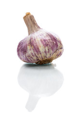 Garlic bulb (Allium sativum)
