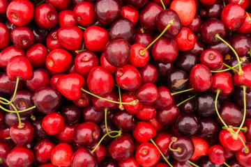 Red Cherries.  Cherry selection. ripe berries cherries