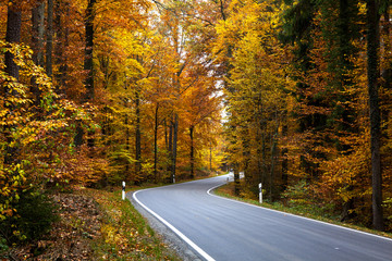 Fototapeta premium Autumn