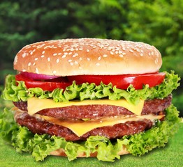 Hamburger.