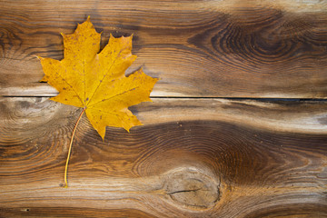 Jesienny liść na drewnianym tle