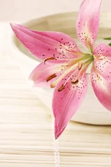 Photo sur Plexiglas Nénuphars  pink lily on the bowl