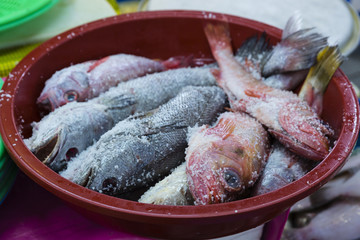 Busan fish market