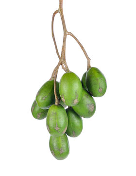 Makok (hog plums or spanish plums) or olive fruit in Thailand