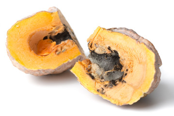black fungi in sliced pumpkin isolated