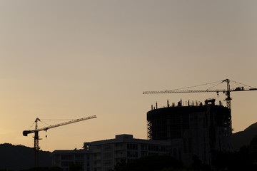 construction cranes at sunset  