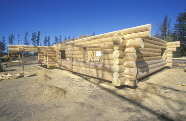 Fototapeta na wymiar Log cabin, WI/MI border