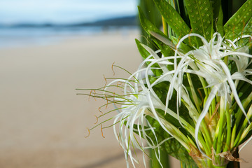 Floral arrangement  on the beach.