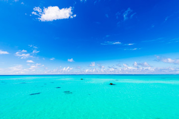 Fototapeta na wymiar Sea, sky, seascape. Okinawa, Japan.