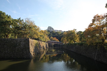 Fototapeta premium 和歌山城