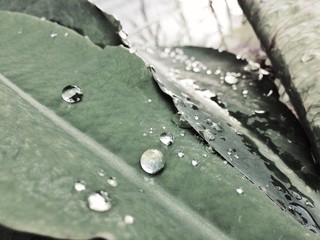Be Strong and Fluent Like Water