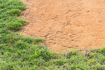 Slope erosion control close up with grids and grass planted