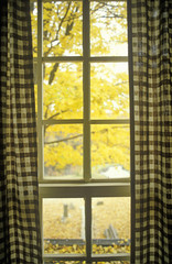 Gingham curtains framing view of Autumn leaves,  Waterloo, NJ