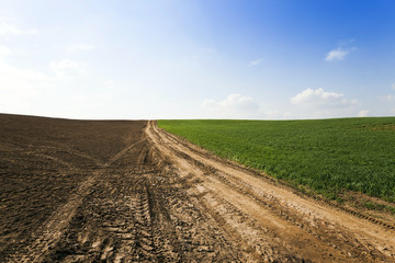 Fototapeta na wymiar Rural Dirt road 