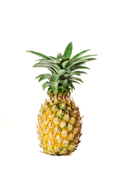 Isolated pineapple with clipping path