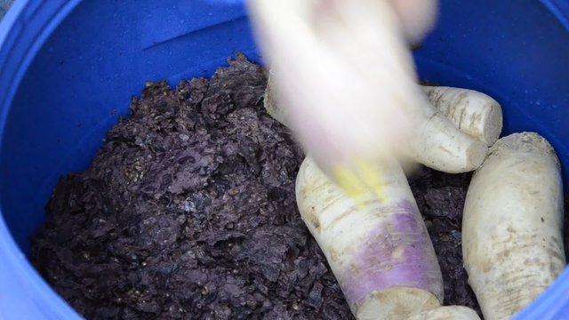 Brovada Brovade Broade Cusine furlane Italian cuisine Cucina italiana Italienische K&uuml;che 