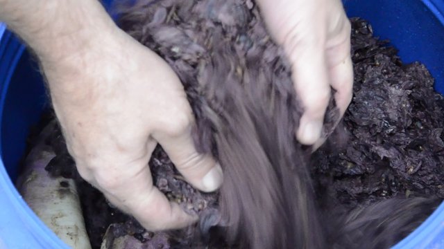 Brovada Brovade Broade Cusine furlane Italian cuisine Cucina italiana Italienische K&uuml;che 