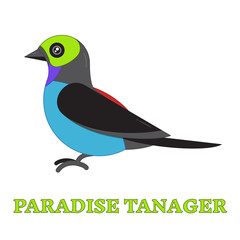 Paradise Tanager Bird Line Art Icon
