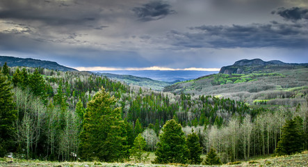 Arizona Mountains Scene