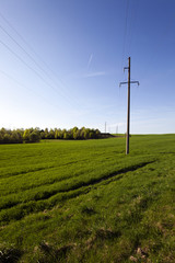 electric line in the   field  