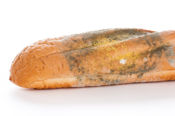 Mold On Bread