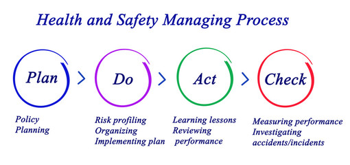 Health and safety management process